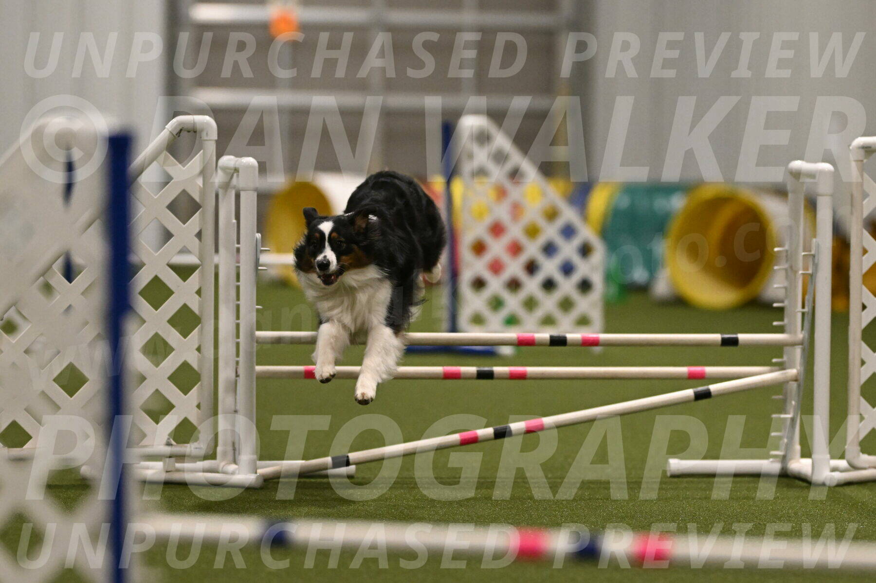 Lily-Claudia-Brydon-07825