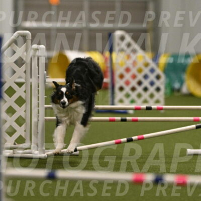 Lily-Claudia-Brydon-07826