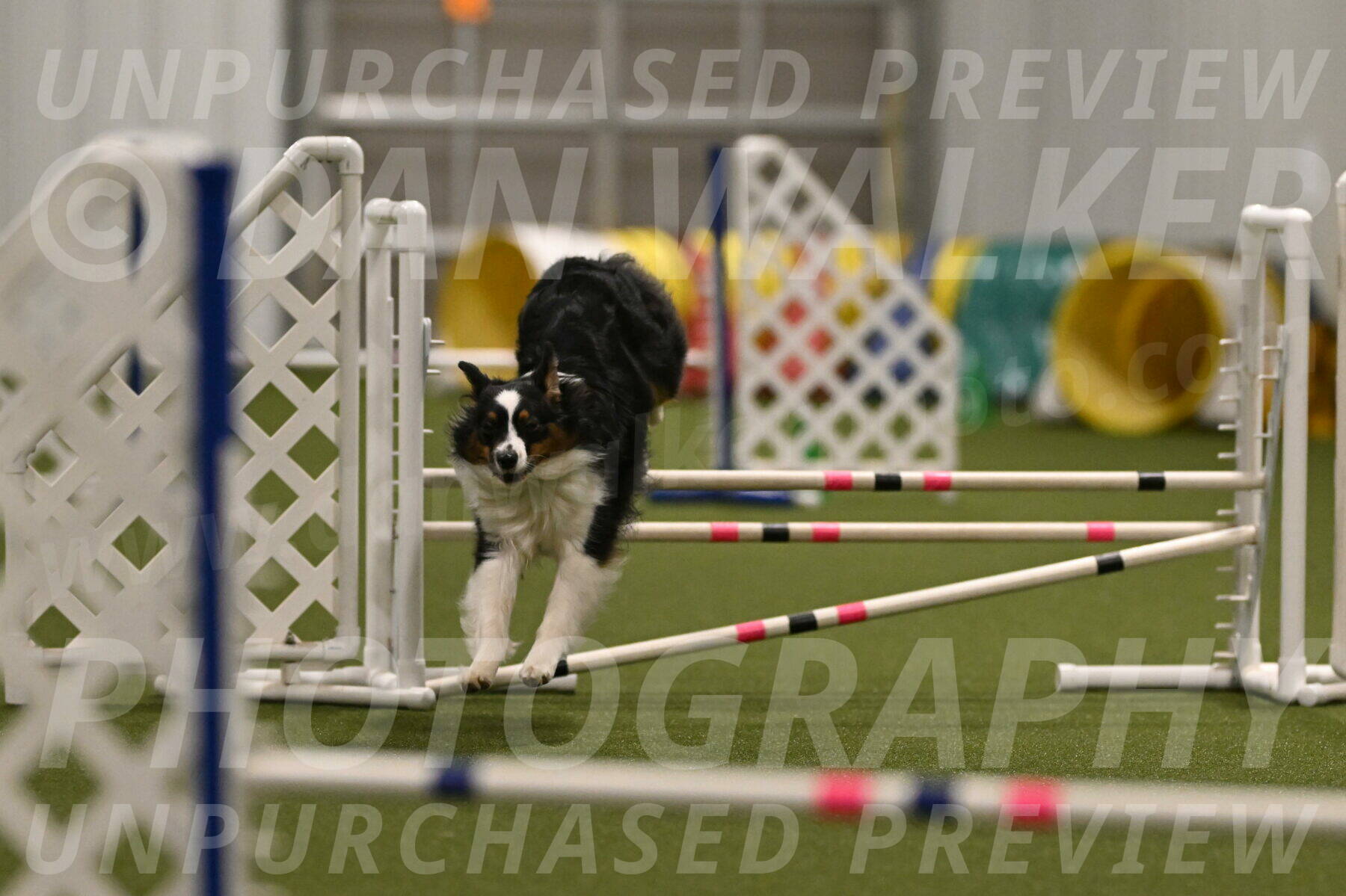 Lily-Claudia-Brydon-07826