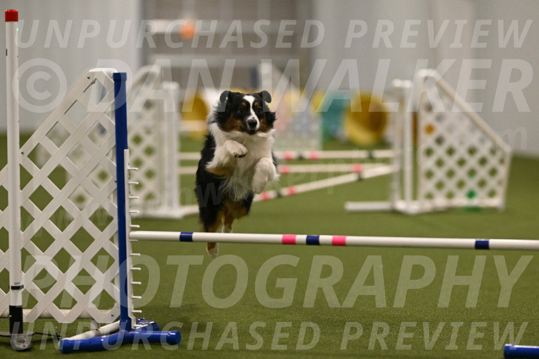 Lily-Claudia-Brydon-07827