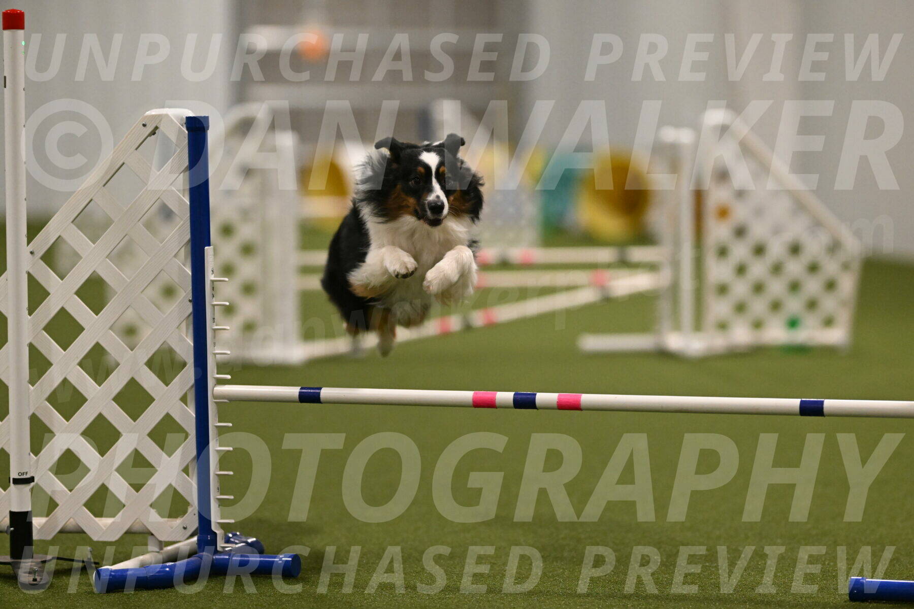 Lily-Claudia-Brydon-07828