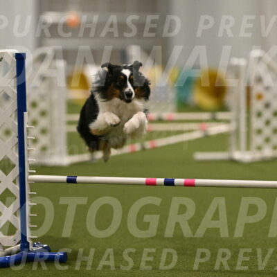 Lily-Claudia-Brydon-07828