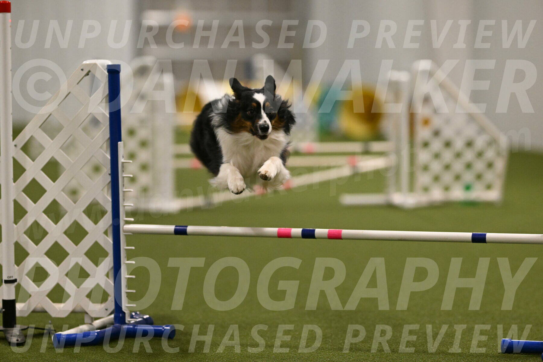 Lily-Claudia-Brydon-07829