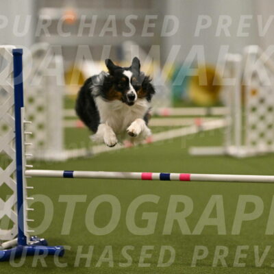 Lily-Claudia-Brydon-07829