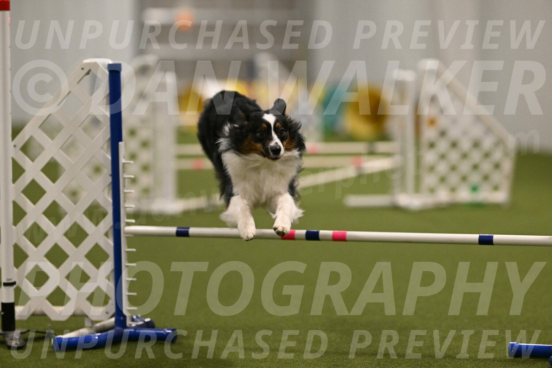 Lily-Claudia-Brydon-07830