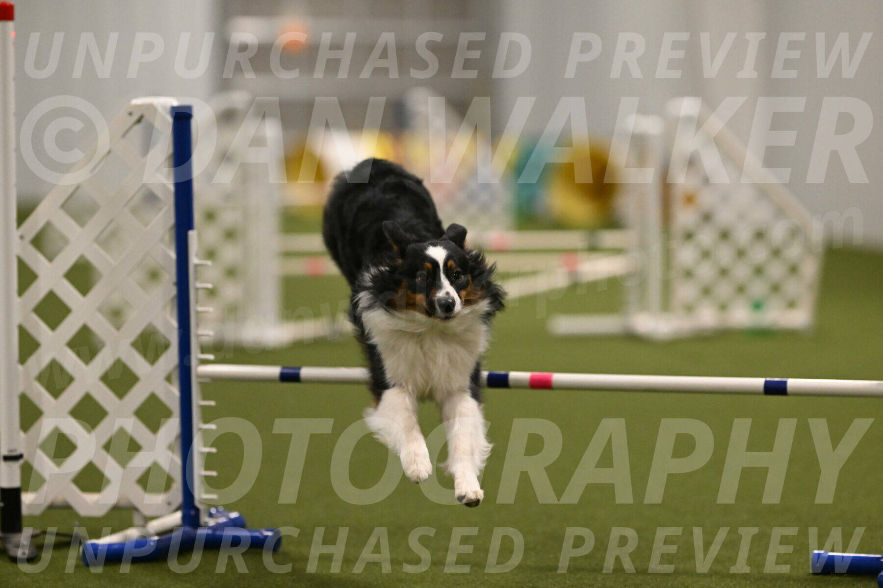 Lily-Claudia-Brydon-07831