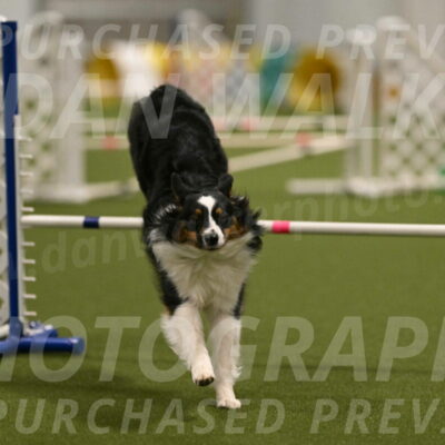 Lily-Claudia-Brydon-07832