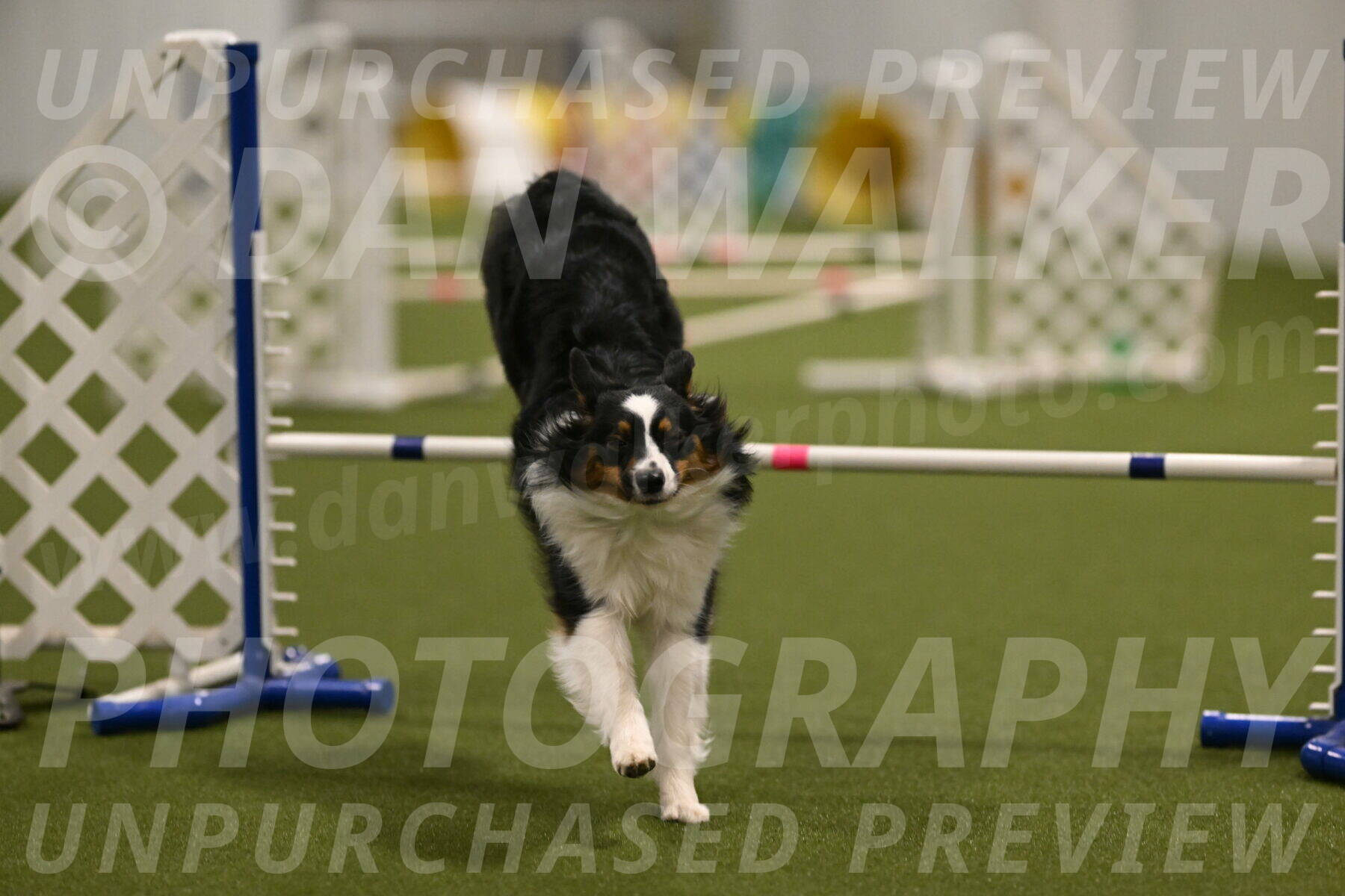 Lily-Claudia-Brydon-07832