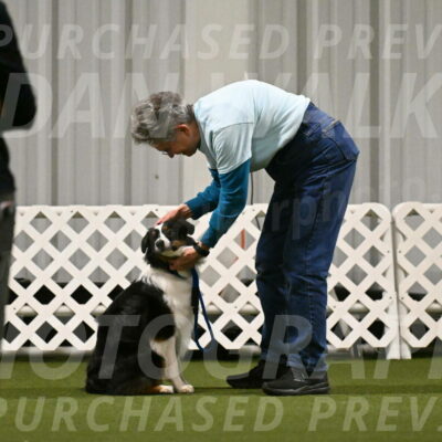 Lily-Claudia-Brydon-07833