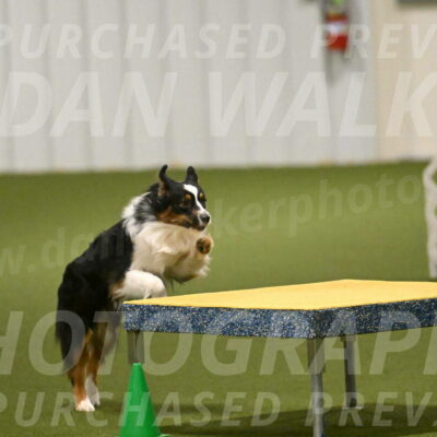 Lily-Claudia-Brydon-07834