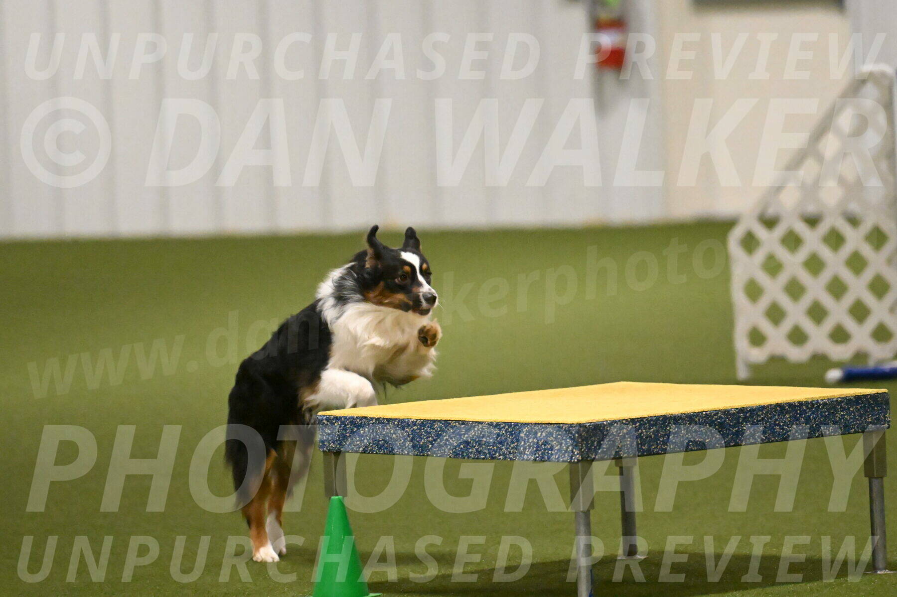 Lily-Claudia-Brydon-07834