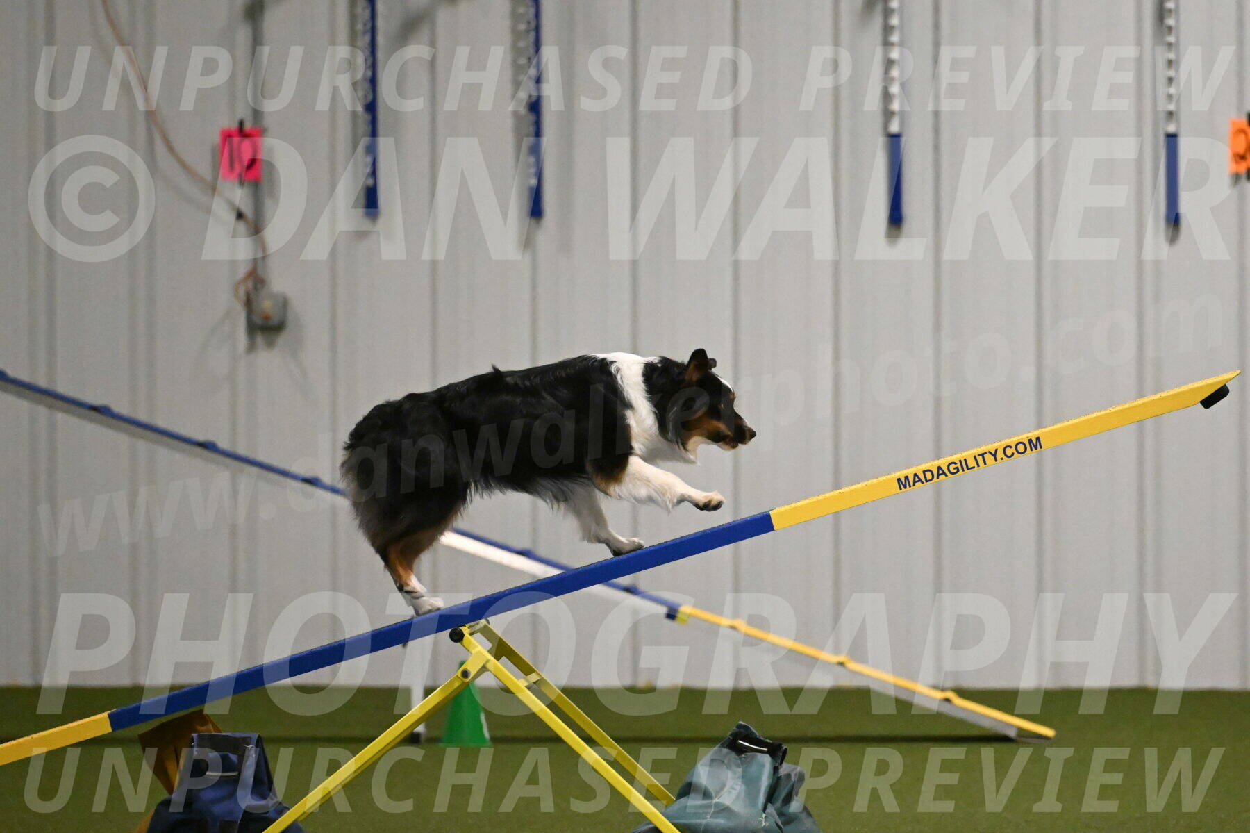 Lily-Claudia-Brydon-07837