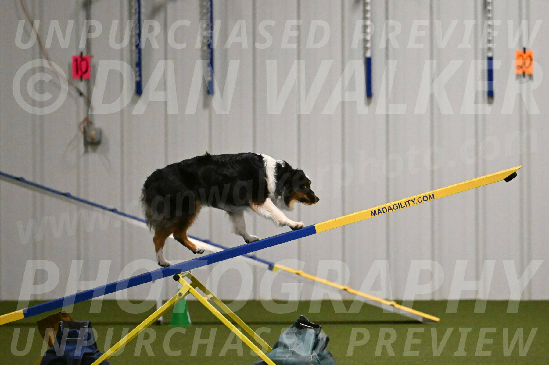 Lily-Claudia-Brydon-07838