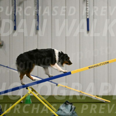 Lily-Claudia-Brydon-07838