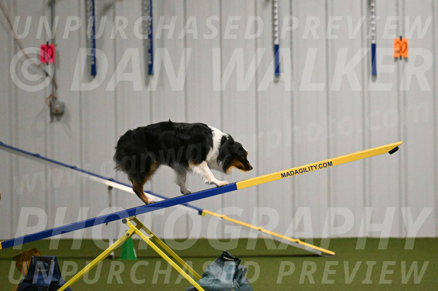 Lily-Claudia-Brydon-07839