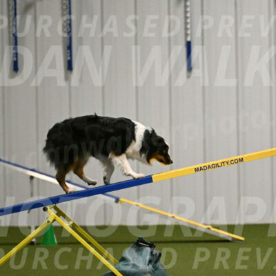 Lily-Claudia-Brydon-07840