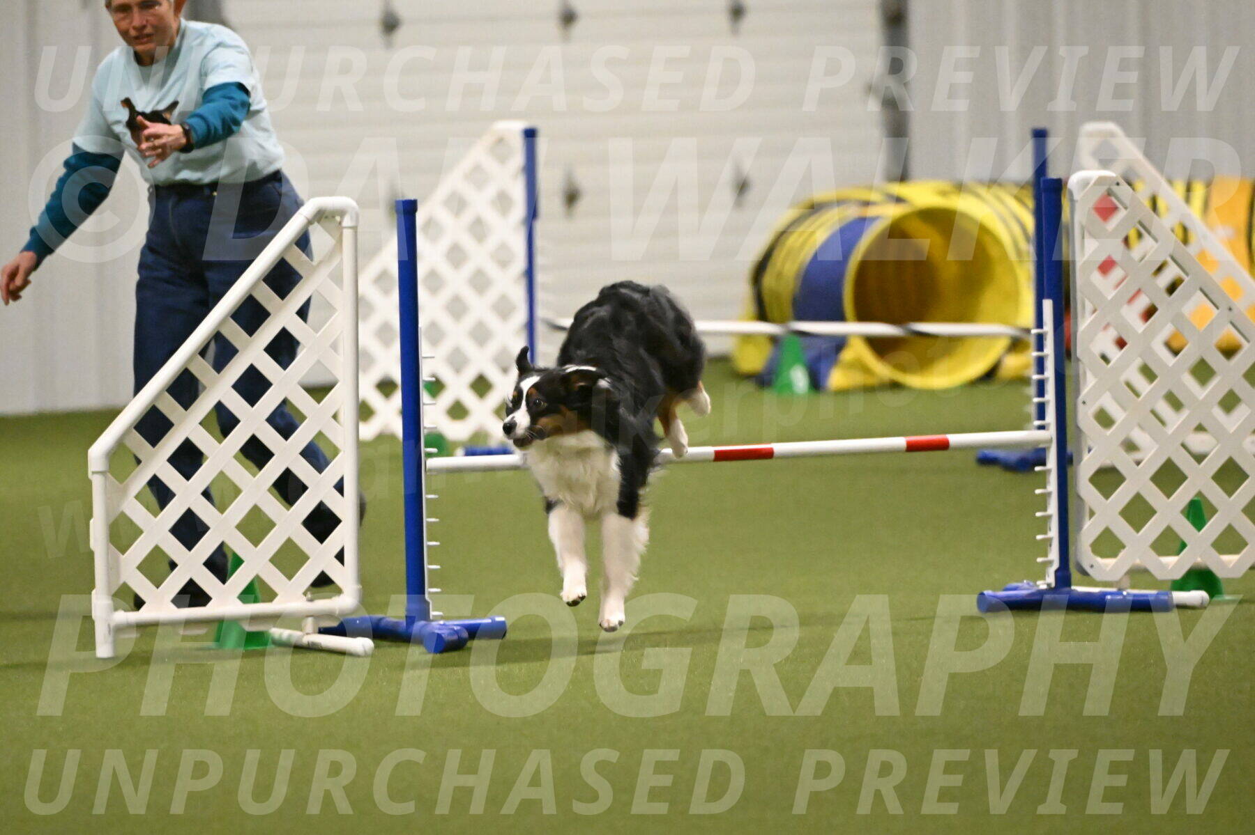 Lily-Claudia-Brydon-07847