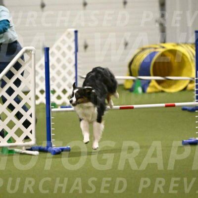 Lily-Claudia-Brydon-07847