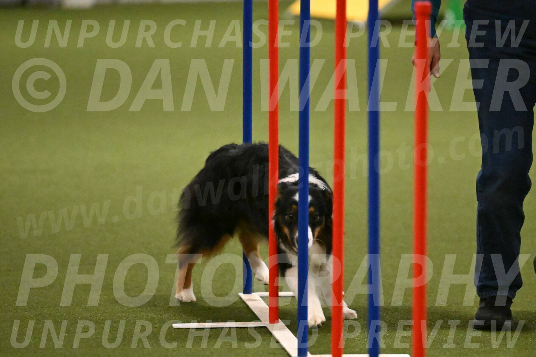 Lily-Claudia-Brydon-07848