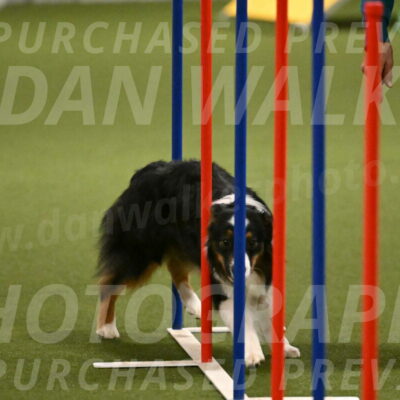 Lily-Claudia-Brydon-07848