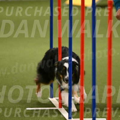 Lily-Claudia-Brydon-07849