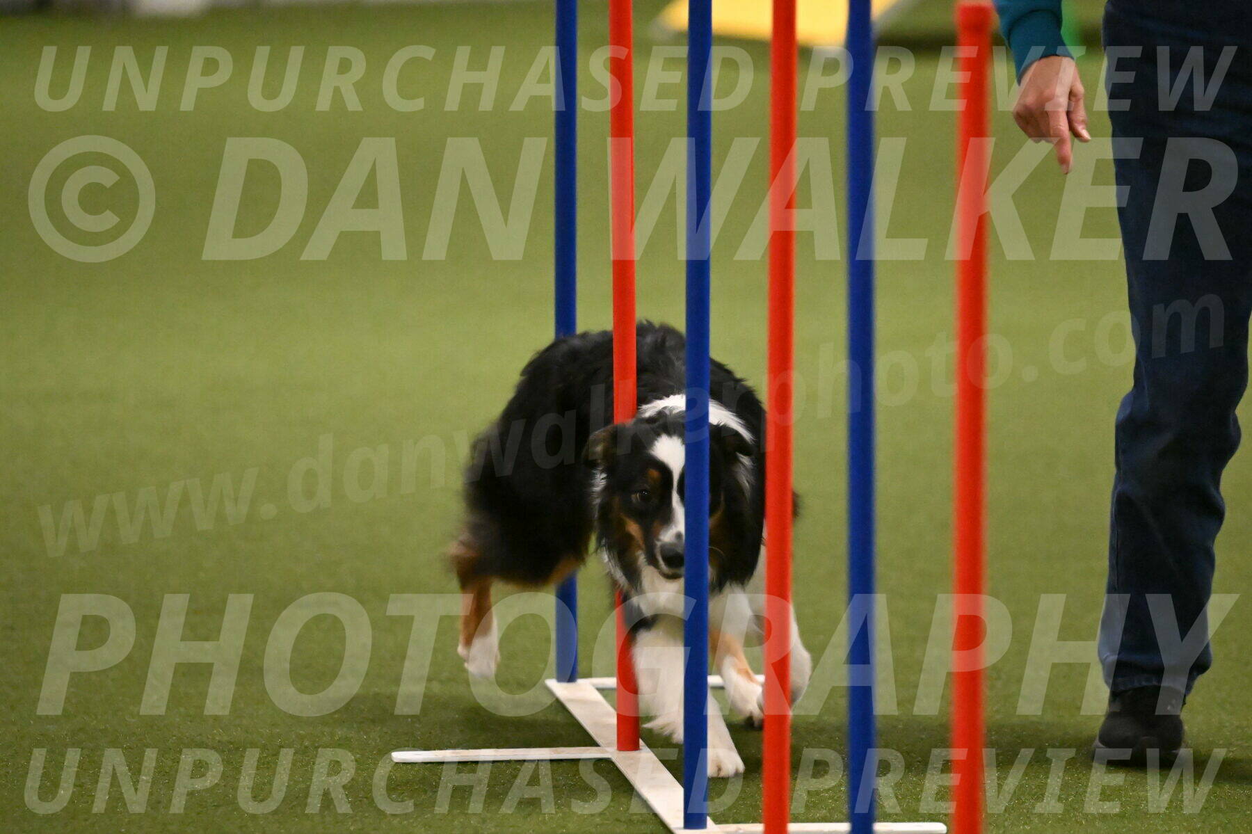 Lily-Claudia-Brydon-07849