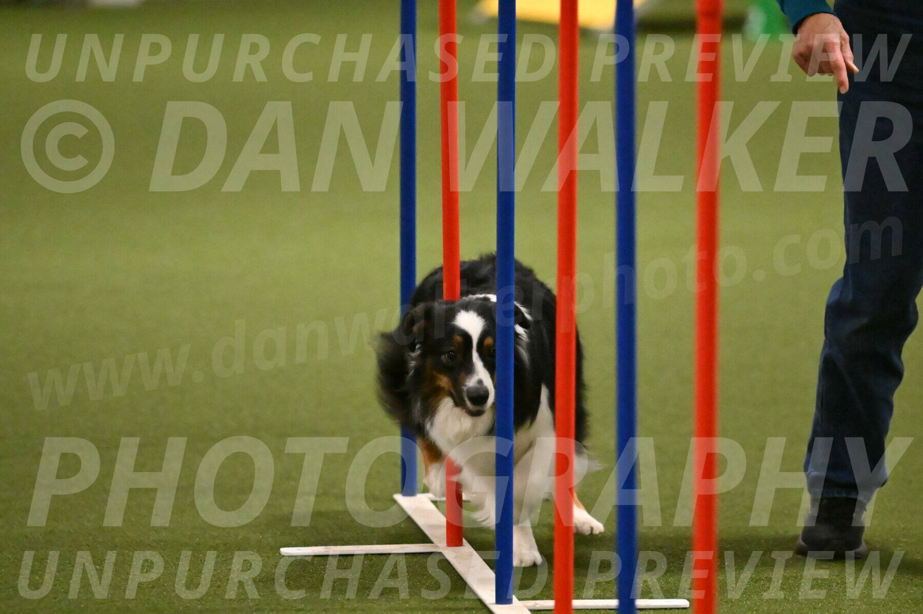 Lily-Claudia-Brydon-07850