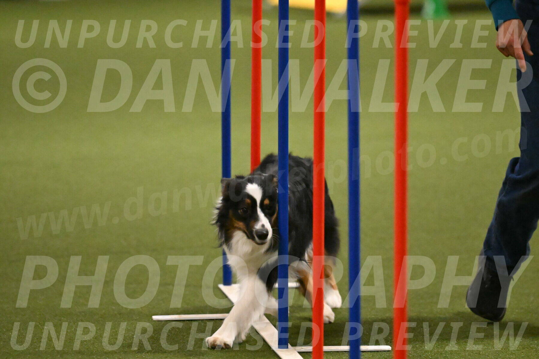 Lily-Claudia-Brydon-07851