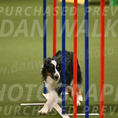 Lily-Claudia-Brydon-07851