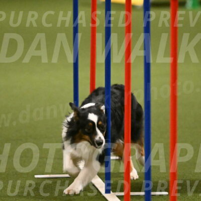 Lily-Claudia-Brydon-07852