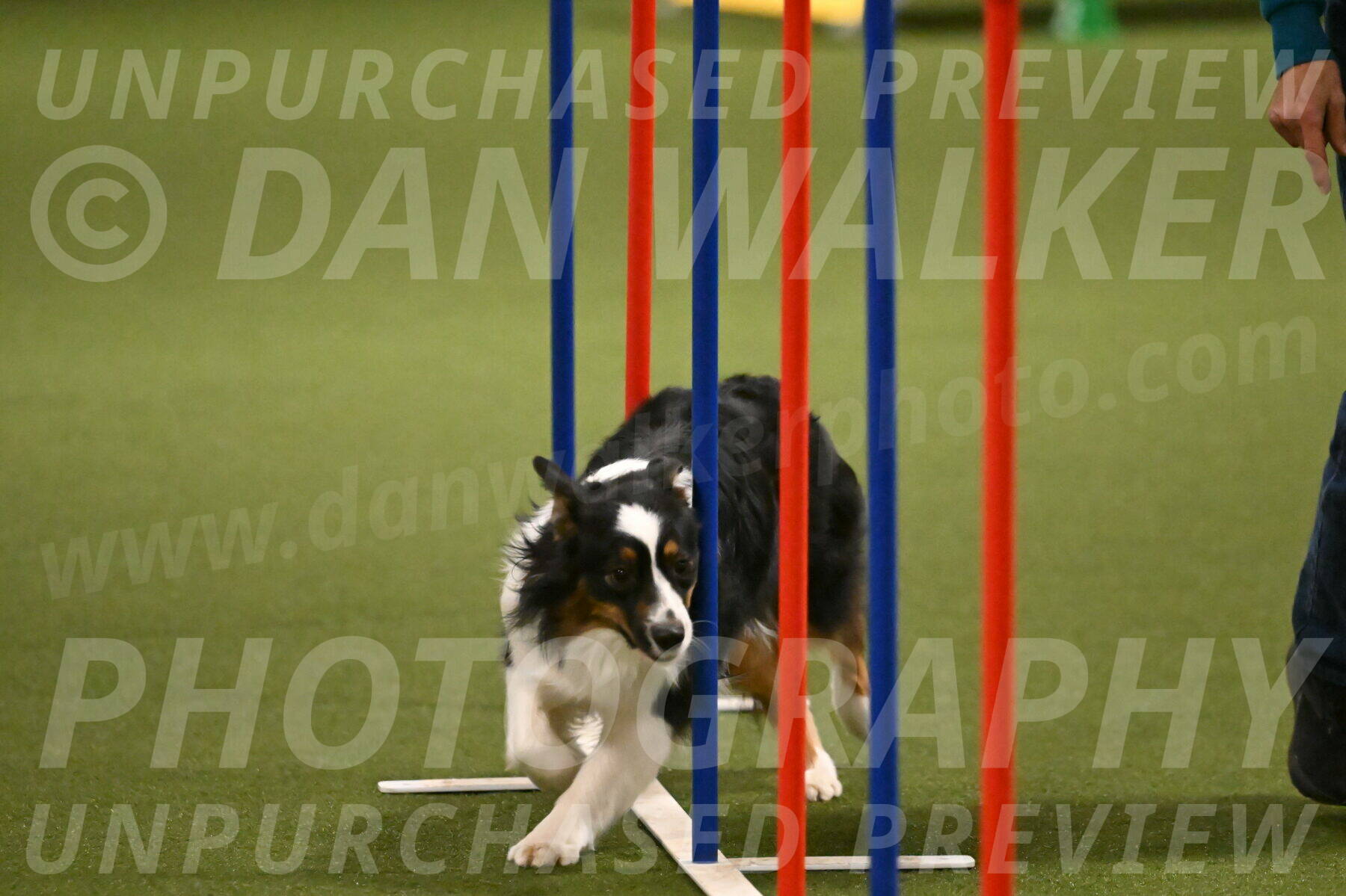 Lily-Claudia-Brydon-07852