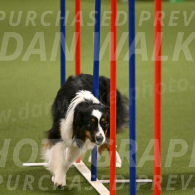 Lily-Claudia-Brydon-07853