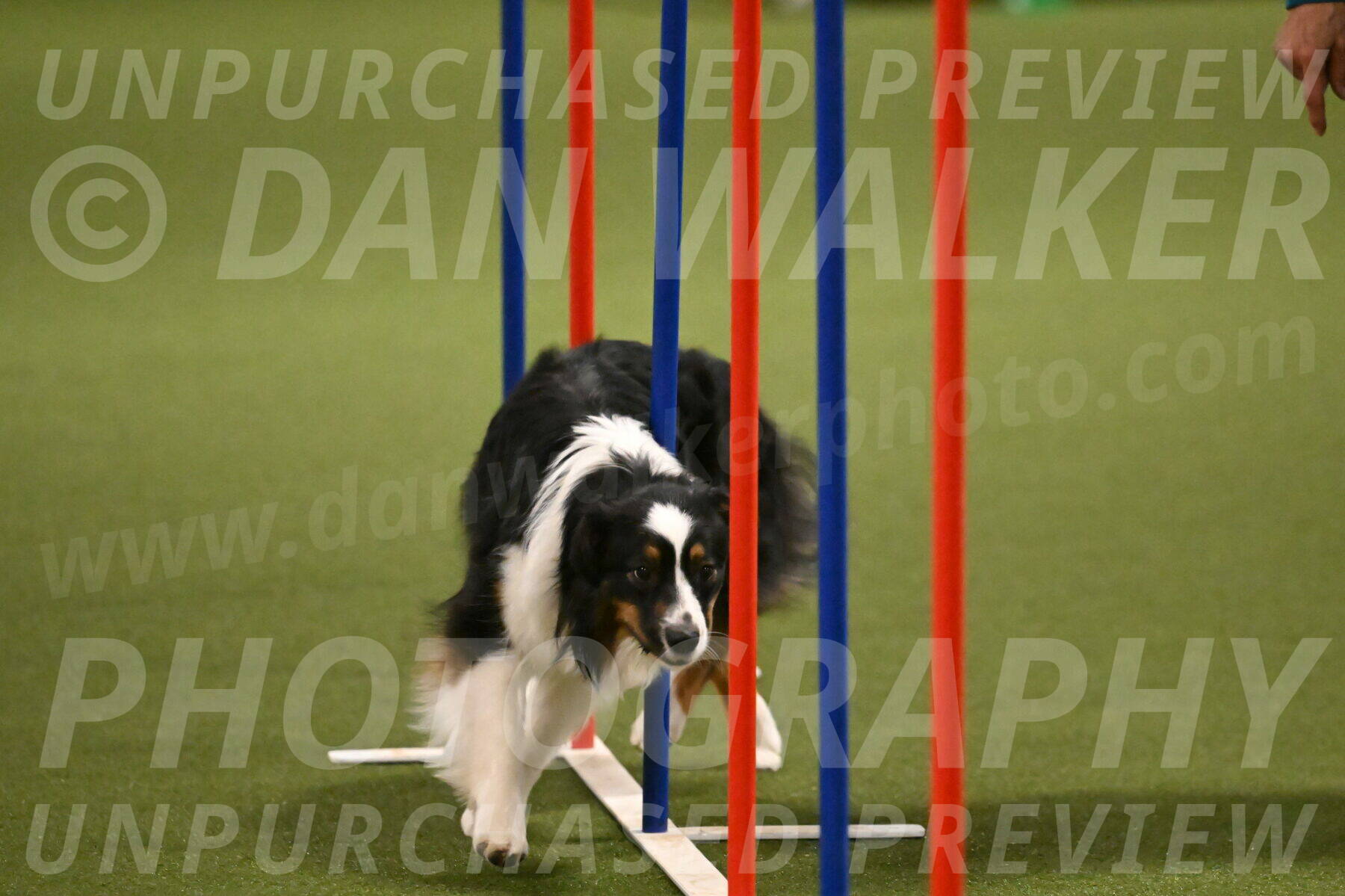 Lily-Claudia-Brydon-07853