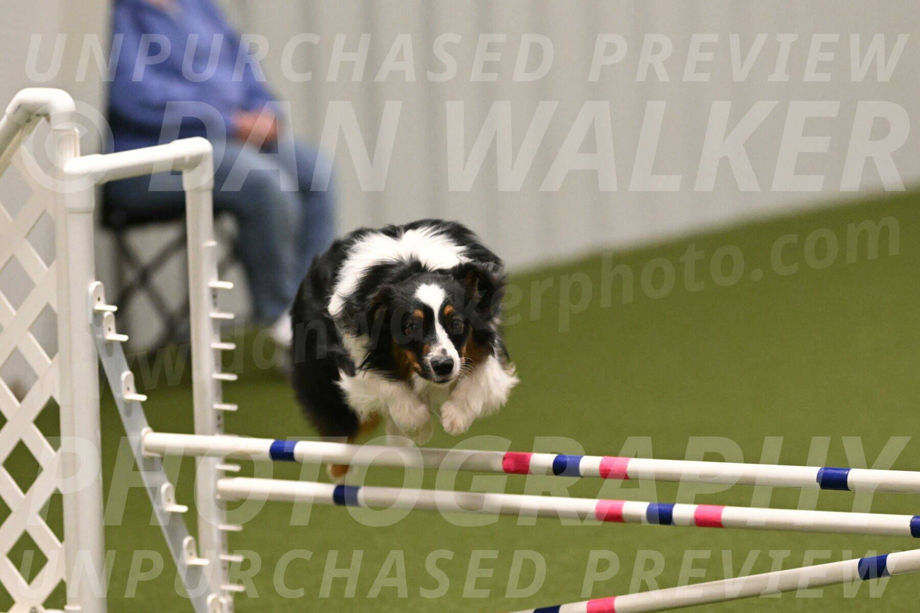 Lily-Claudia-Brydon-07854