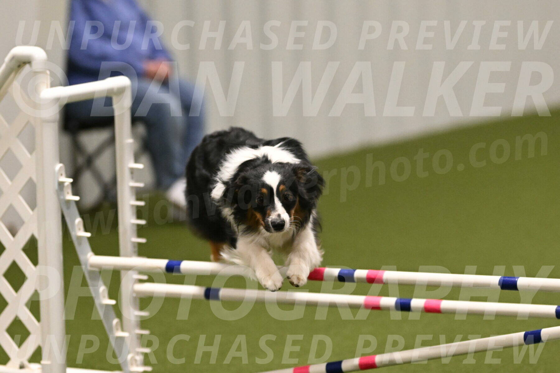 Lily-Claudia-Brydon-07855