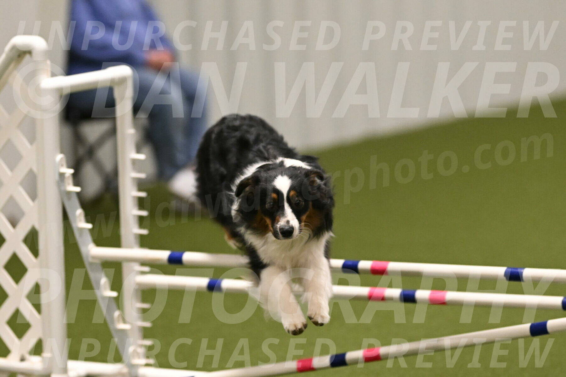 Lily-Claudia-Brydon-07856