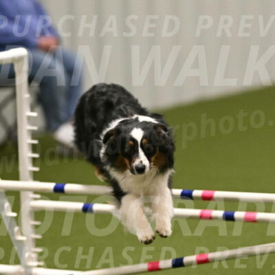 Lily-Claudia-Brydon-07856