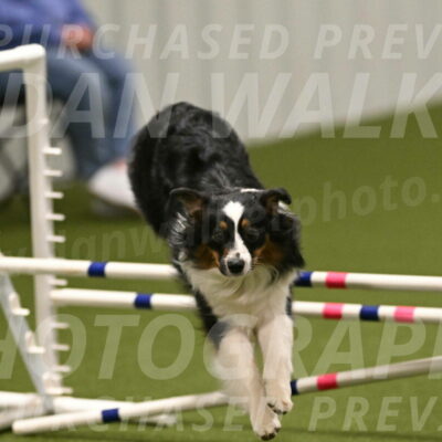 Lily-Claudia-Brydon-07857