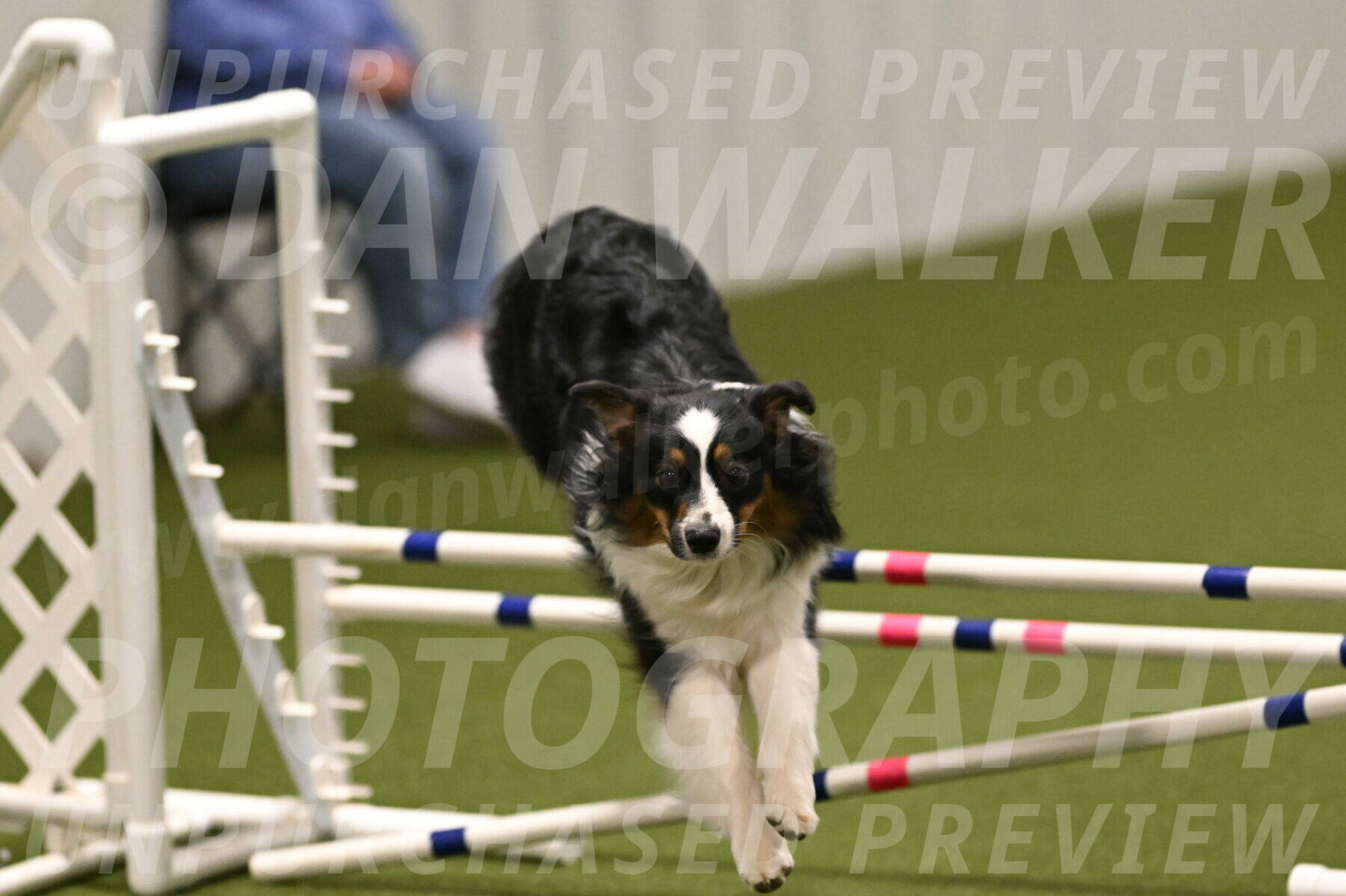 Lily-Claudia-Brydon-07857