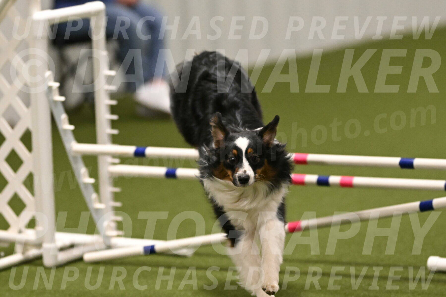 Lily-Claudia-Brydon-07858