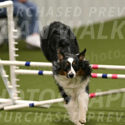 Lily-Claudia-Brydon-07858