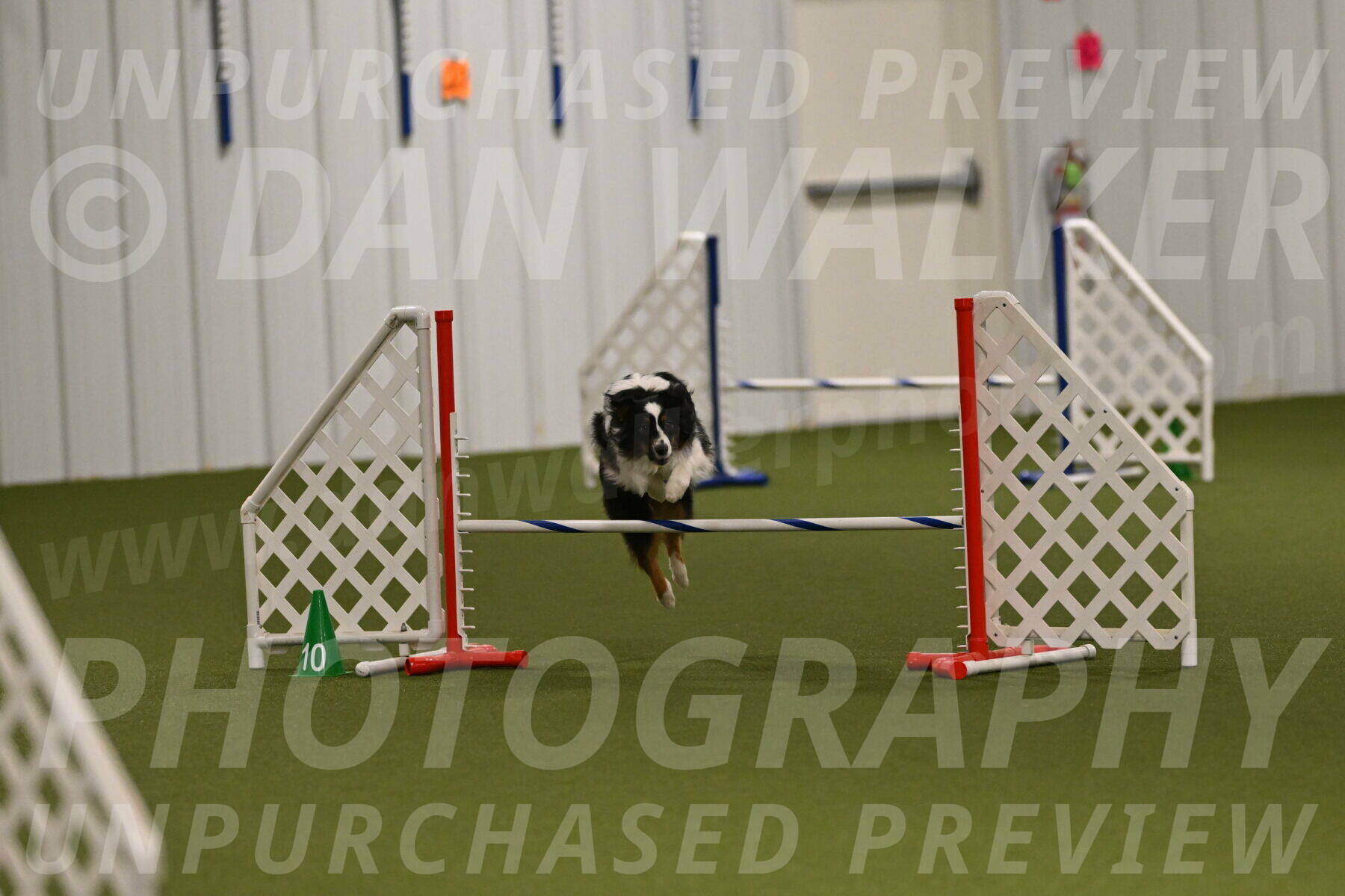 Lily-Claudia-Brydon-07862