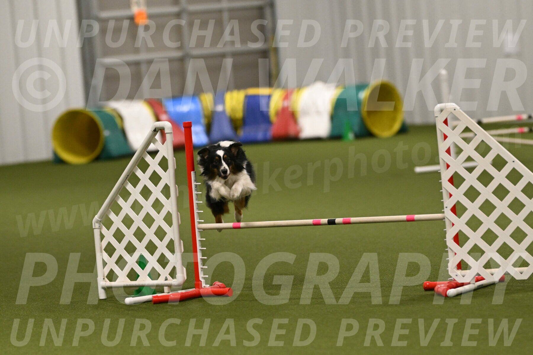 Lily-Claudia-Brydon-07863