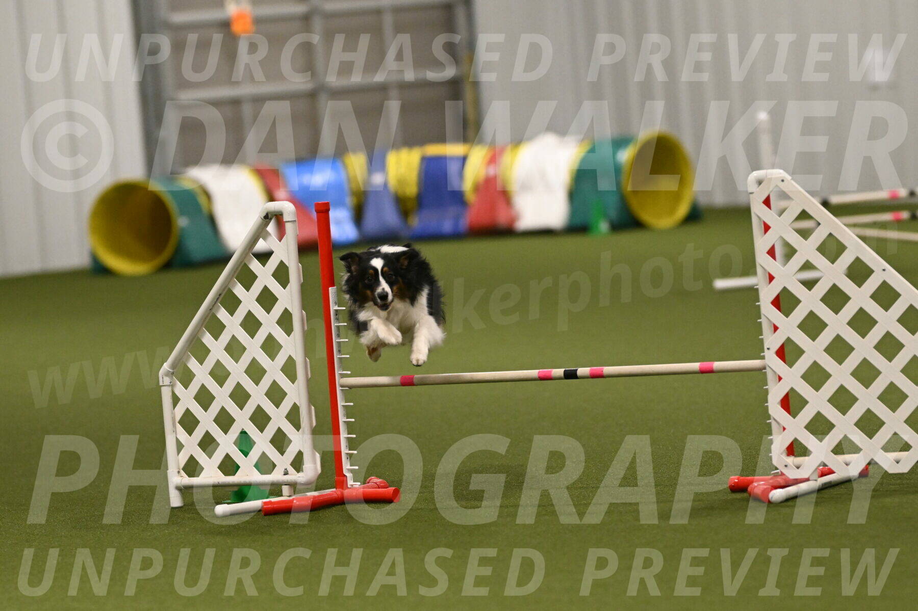 Lily-Claudia-Brydon-07864