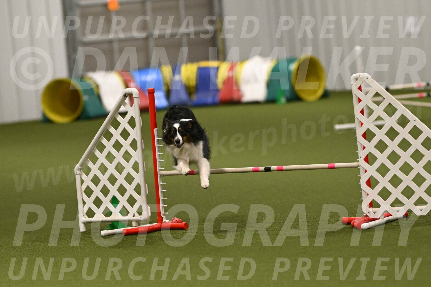 Lily-Claudia-Brydon-07865