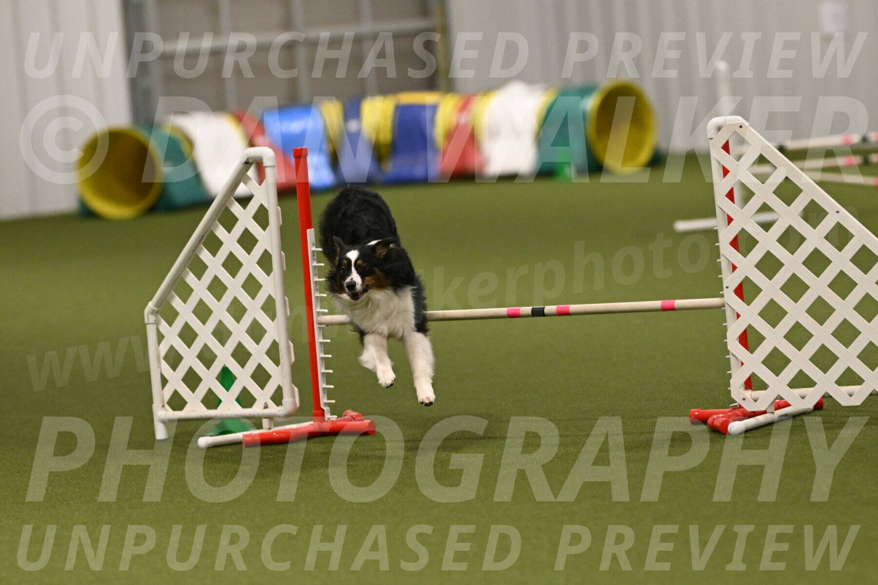 Lily-Claudia-Brydon-07866