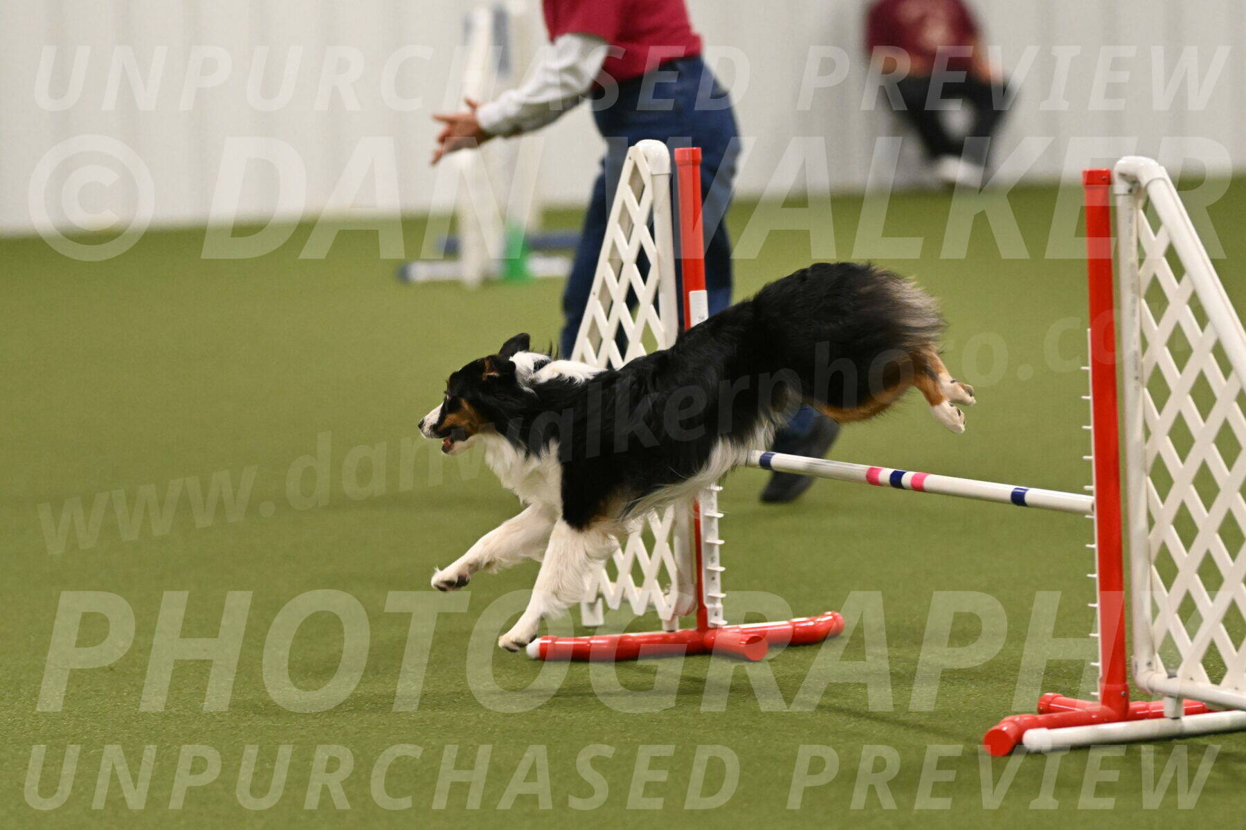 Lily-Claudia-Brydon-07867