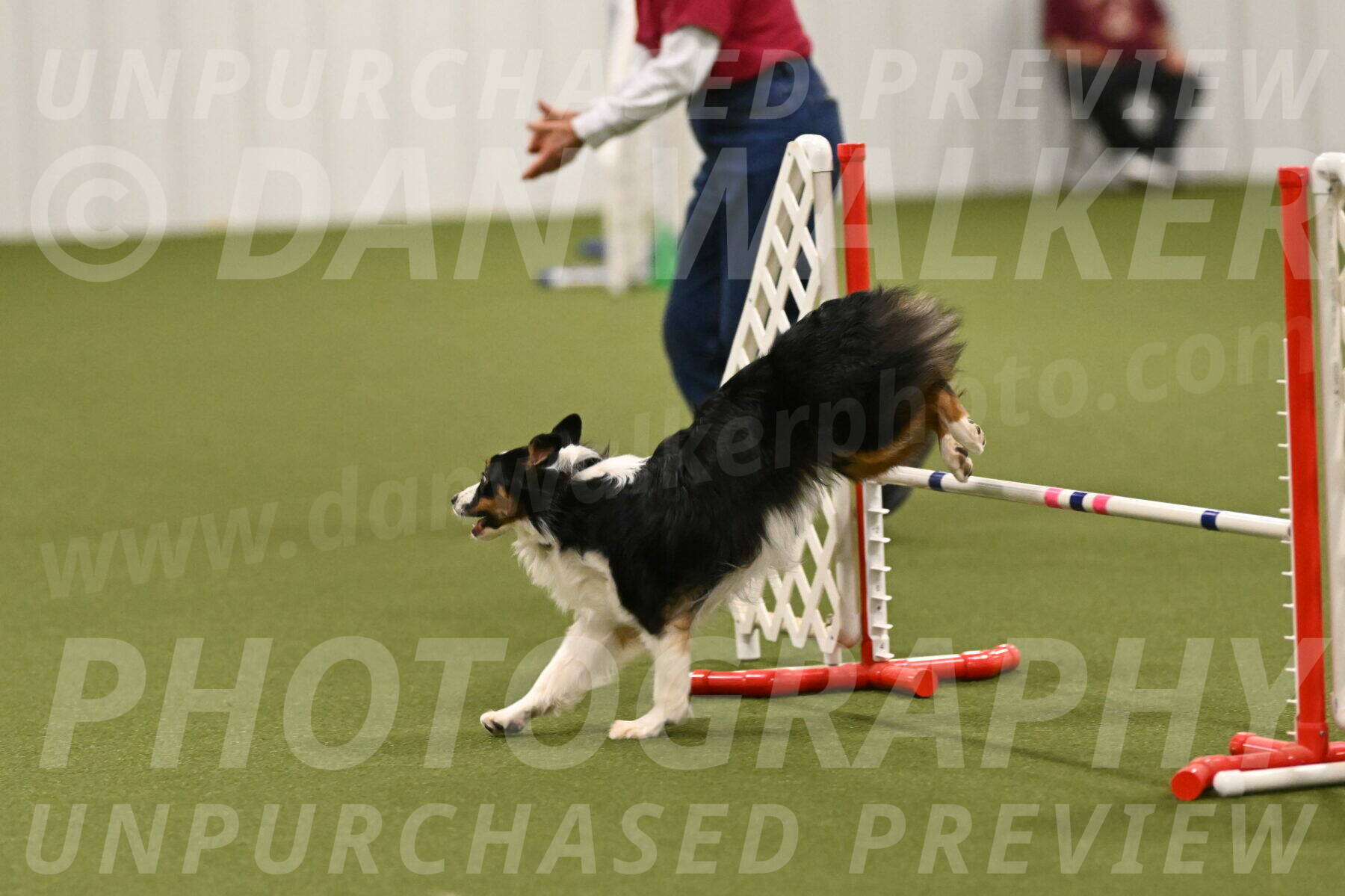 Lily-Claudia-Brydon-07868