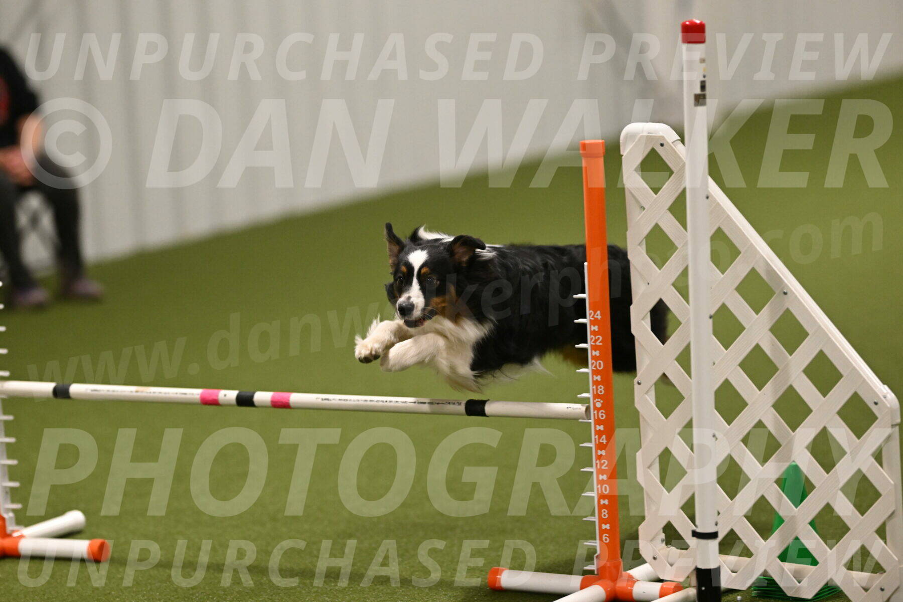 Lily-Claudia-Brydon-07869