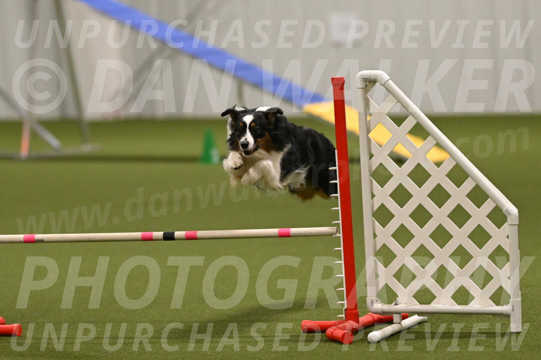 Lily-Claudia-Brydon-07875